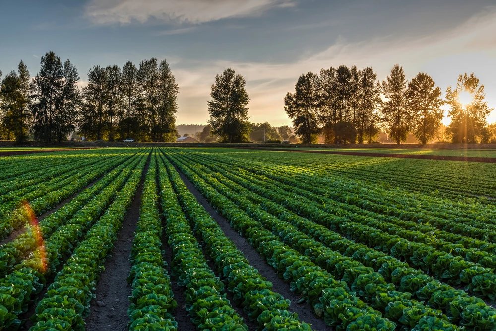 Linking Stewardship and Food